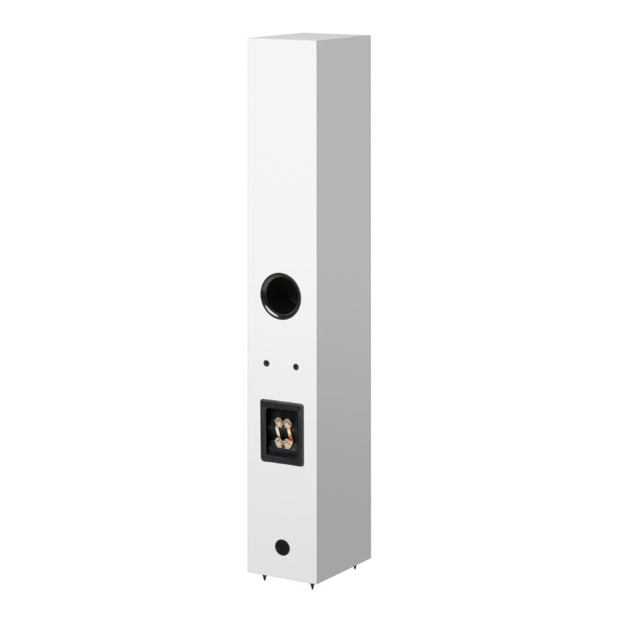 Pro-Ject Speaker Box 12 E Carbon Satin White по цене 130 000 ₽