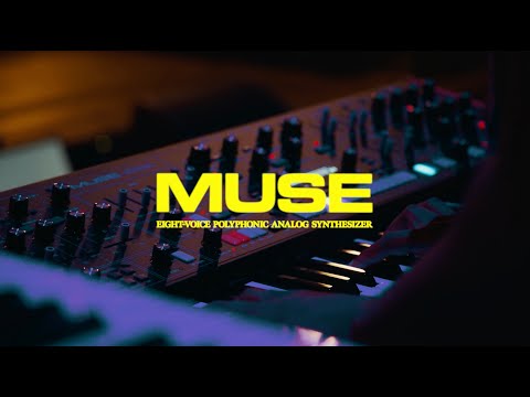 Moog Muse по цене 388 000 ₽