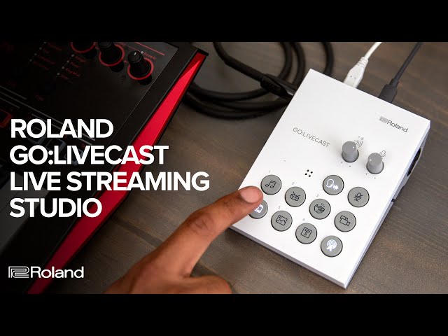 Roland Go:Livecast по цене 34 500 ₽