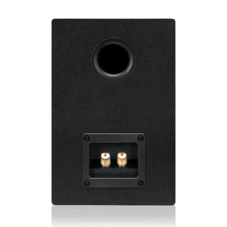 Emotiva Airmotiv B2+ купить за 59 990 ₽ с доставкой по Москве и всей России в интернет-магазине ALL for DJ Emotiva Airmotiv B2+ по цене 59 990 ₽