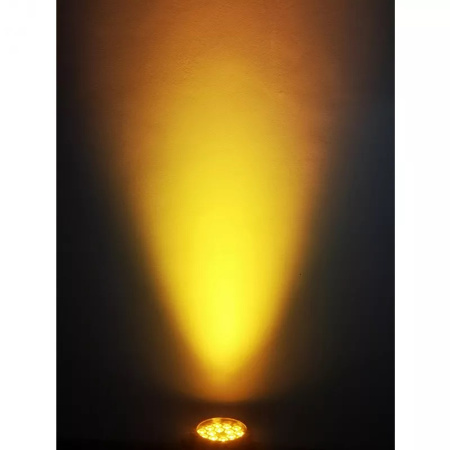 Ross PAR Vision 1818 RGBWAUV по цене 22&nbsp;700 ₽