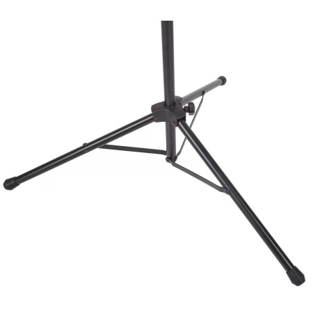 Bespeco BP04X по цене 3&nbsp;100.00 ₽