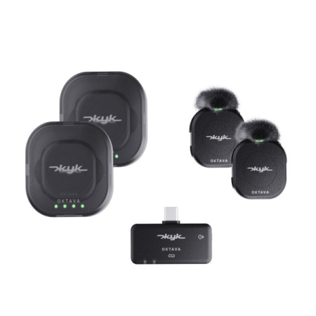 Октава Жук-2-Ч по цене 21&nbsp;390 ₽