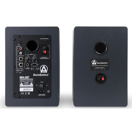 AuraSonics KN4.5BT по цене 15 800 ₽