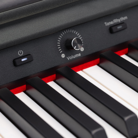 Rockdale Etude 256 BK по цене 59&nbsp;900.00 ₽