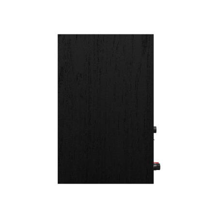 Klipsch R-50PM Black/GNM по цене 65 000 ₽