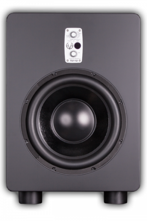 Eve Audio TS112 по цене 135 020.00 ₽
