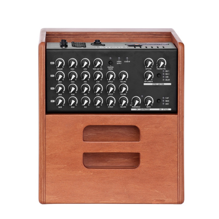 Acus One ForStrings 5 Ferdi Wood по цене 73 950 ₽