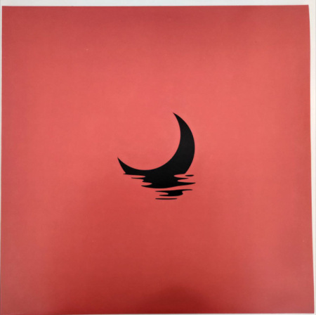 Tommaso Cappellato - Explorare