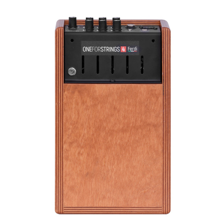 Acus One ForStrings 4 Ferdi Wood по цене 37 400 ₽