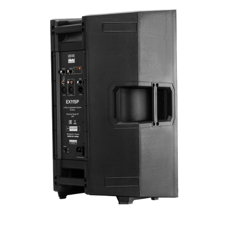 Echo Acoustic EX115P по цене 31 920 ₽