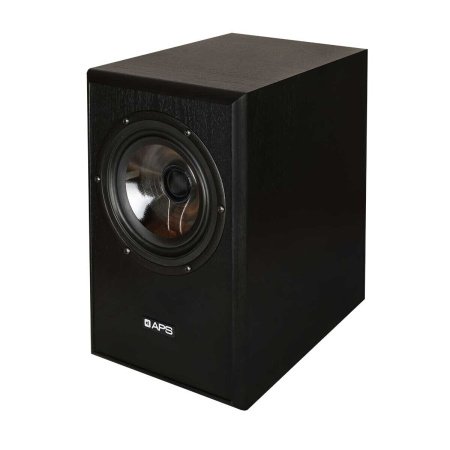 APS Coax 2 Black Pair по цене 146 200.00 ₽