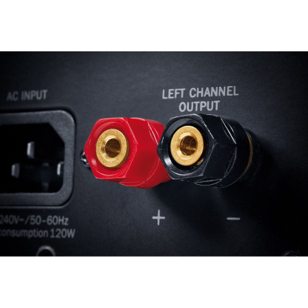 Magnat Monitor Reference 5A Black по цене 100 000 ₽