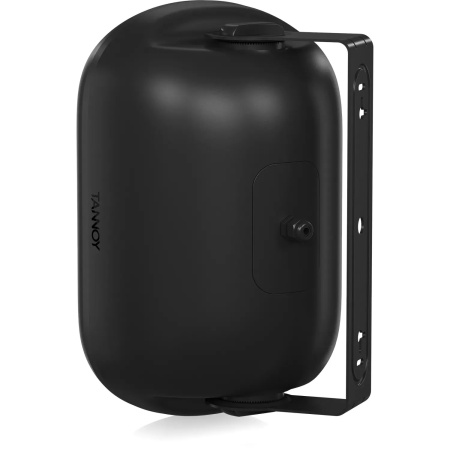 Tannoy DVS 601 по цене 14 880 ₽
