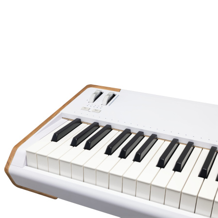 Arturia AstroLab 88 по цене 330 000.00 ₽