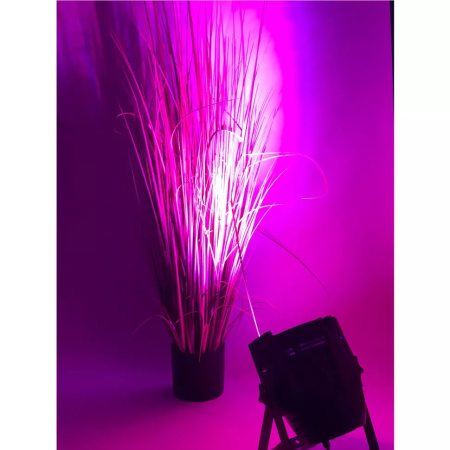 Ross PAR Axis 1815 RGBWA по цене 23&nbsp;040 ₽