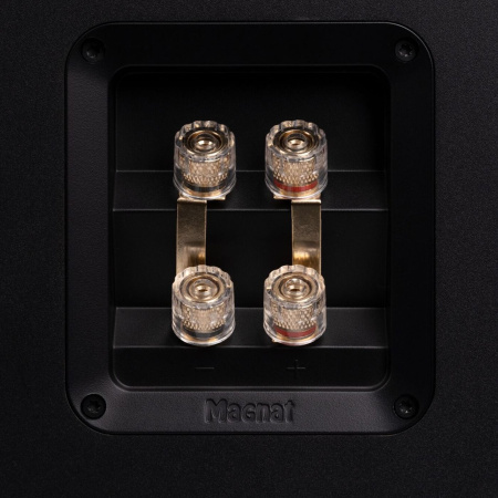 Magnat Signature 809 Black по цене 290 000 ₽
