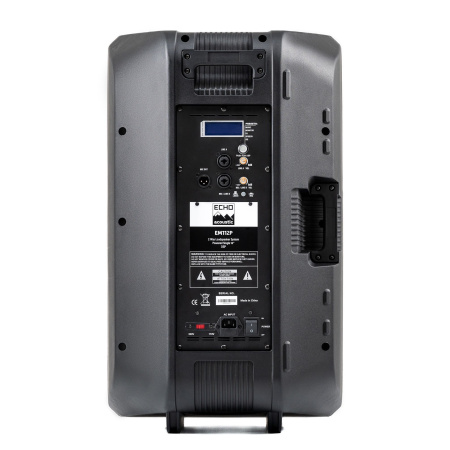 Echo Acoustic EM112P по цене 65 000.00 ₽