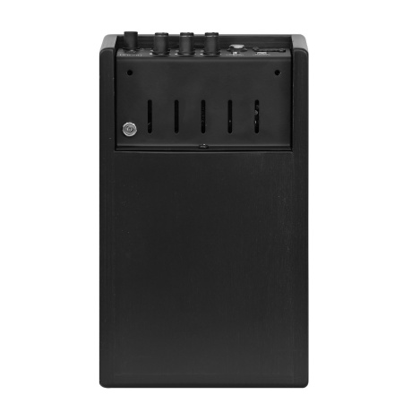 Acus One ForStrings 4 Ferdi Black по цене 37 400 ₽
