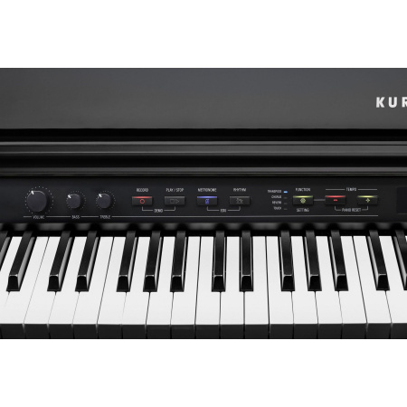 Kurzweil CUP G1W BP по цене 361 860 ₽