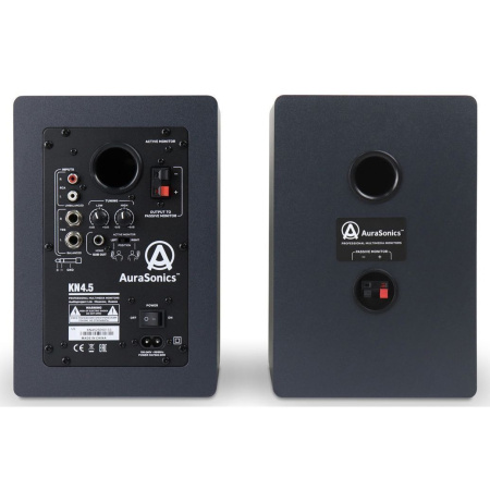 AuraSonics KN4.5 по цене 14 800 ₽