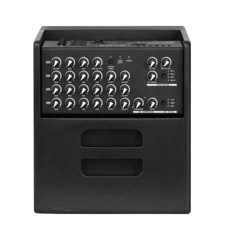 Acus One ForStrings 5 Ferdi Black по цене 73 950 ₽