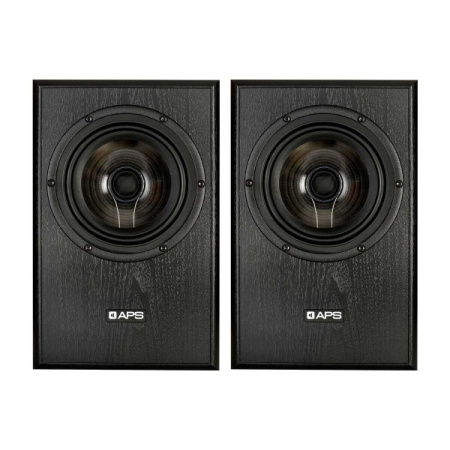 APS Coax 2 Black Pair по цене 146 200.00 ₽