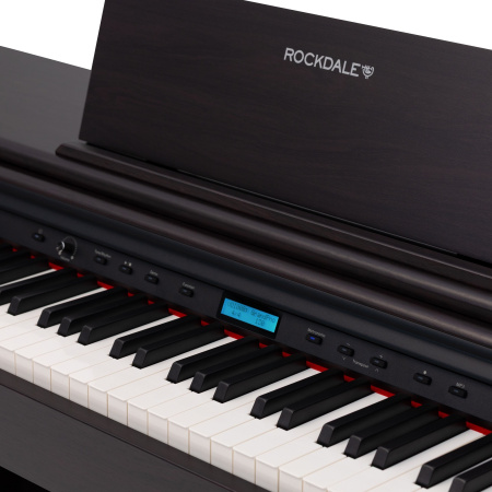 Rockdale Etude 256 BR по цене 59&nbsp;900.00 ₽