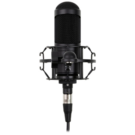 Radiotehnika MCD-01 по цене 9 990 ₽