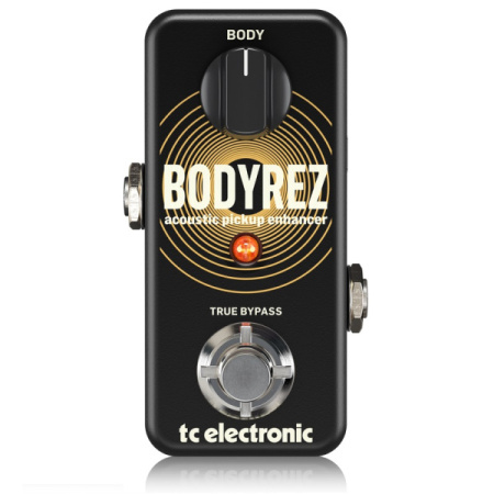TC Electronic BodyRez Acoustic Pickup Enhancer по цене 11 900 ₽
