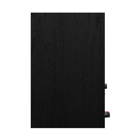 Klipsch R-40PM Black/GNM по цене 55 000 ₽