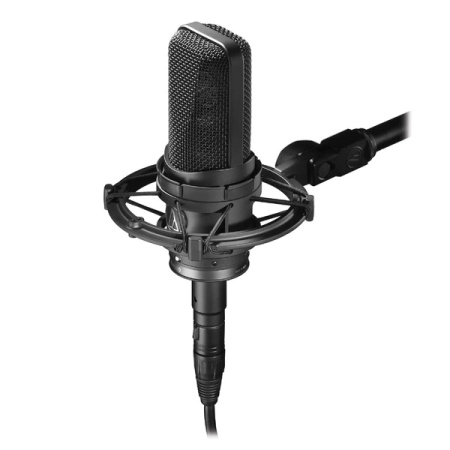 Audio-Technica AT4050 по цене 111 850 ₽