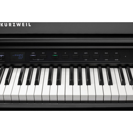 Kurzweil CUP G1W BP по цене 361 860 ₽