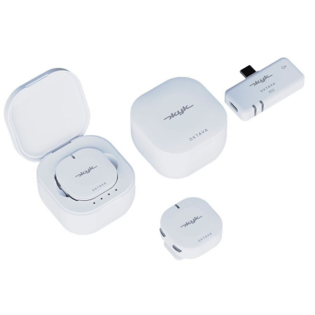 Октава Жук-2-Б по цене 21&nbsp;390 ₽