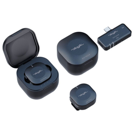 Октава Жук-2-Ч по цене 21&nbsp;390 ₽