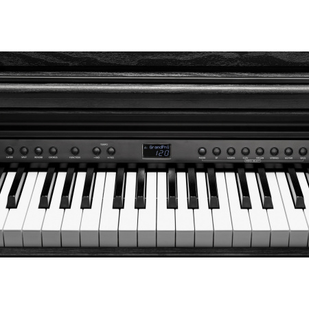Kurzweil CUP E1 BK по цене 112 990 ₽