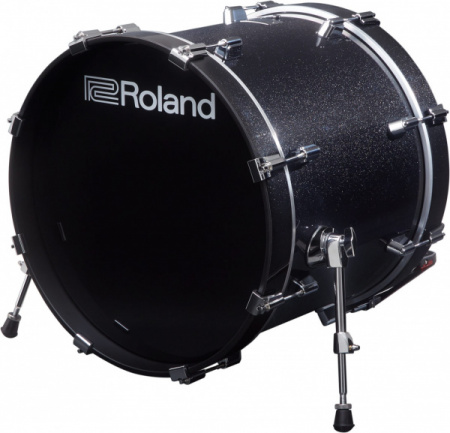 Roland KD-200-MS по цене 175 970 ₽