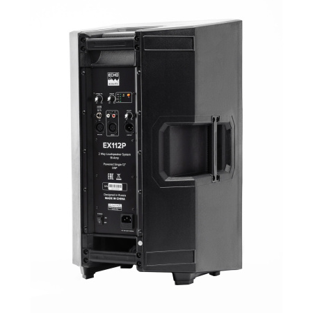 Echo Acoustic EX112P по цене 33 740 ₽