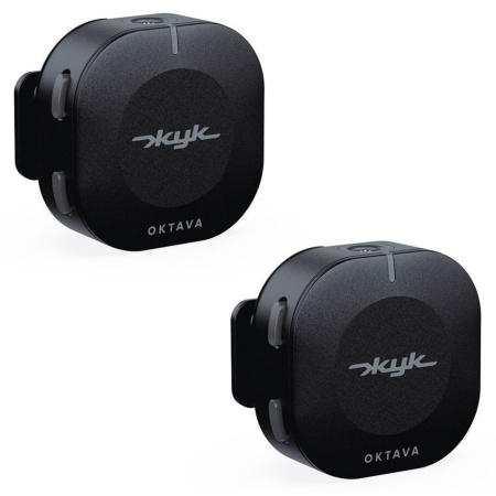 Октава Жук-2-Ч по цене 21&nbsp;390 ₽