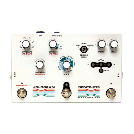 Hologram Electronics Infinite Jets по цене 58 100 ₽