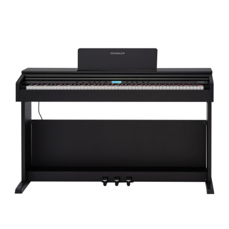 Rockdale Etude 256 BK по цене 59&nbsp;900.00 ₽