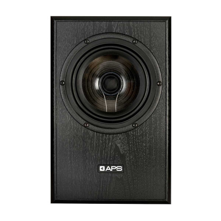 APS Coax 2 Black Pair по цене 146 200.00 ₽